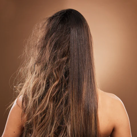 Say Goodbye to Frizz with Bellara’s Nourishing Hair Serum